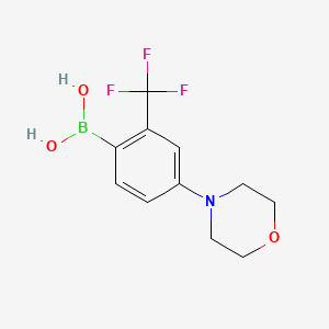 Chemical structure of (4-morpholino-2-(trifluoromethyl)phenyl)boronic acid