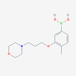 Chemical structure of (4-Methyl-3-(3-morpholinopropoxy)phenyl)boronic acid