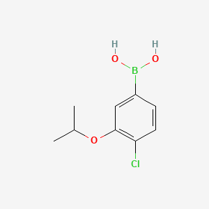Chemical structure of 4-Chloro-3-isopropoxyphenylboronic acid