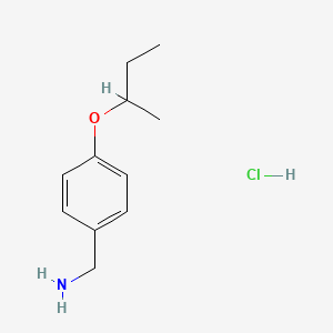Chemical structure of (4-(sec-Butoxy)phenyl)methanamine hydrochloride
