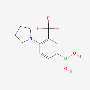Chemical structure of (4-(pyrrolidin-1-yl)-3-(trifluoromethyl)phenyl)boronic acid