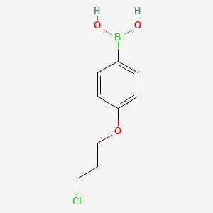 Chemical structure of (4-(3-Chloropropoxy)phenyl)boronic acid