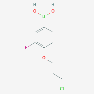 Chemical structure of (4-(3-Chloropropoxy)-3-fluorophenyl)boronic acid