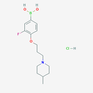 Chemical structure of (3-Fluoro-4-(3-(4-methylpiperidin-1-yl)propoxy)phenyl)boronic acid hydrochloride