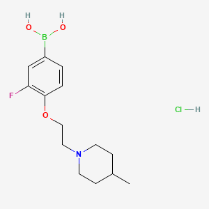 Chemical structure of (3-Fluoro-4-(2-(4-methylpiperidin-1-yl)ethoxy) phenyl)boronic acid hydrochloride