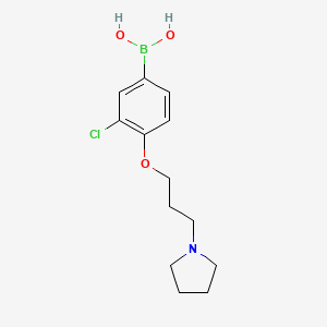 Chemical structure of (3-Chloro-4-(3-(pyrrolidin-1-yl)propoxy)phenyl)boronic acid