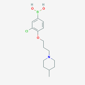 Chemical structure of (3-Chloro-4-(3-(4-methylpiperidin-1-yl)propoxy)phenyl)boronic acid