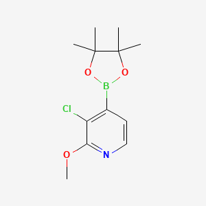 Chemical structure of (3-Chloro-4-(2-(pyrrolidin-1-yl)ethoxy)phenyl)boronic acid