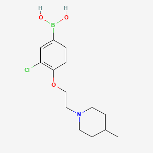 Chemical structure of (3-Chloro-4-(2-(4-methylpiperidin-1-yl)ethoxy)phenyl)boronic acid
