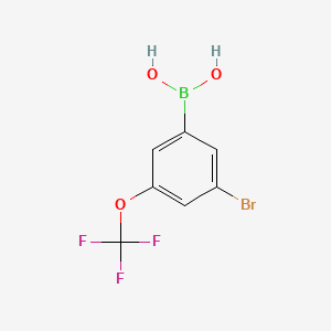 Chemical structure of (3-Bromo-5-(trifluoromethoxy)phenyl)boronic acid