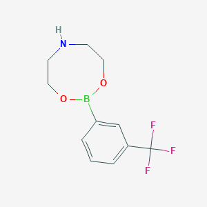 Chemical structure of (3-(Pyrrolidin-1-yl)-5-(trifluoromethyl)phenyl)boronic acid