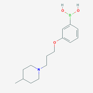 Chemical structure of (3-(3-(4-Methylpiperidin-1-yl)propoxy)phenyl)boronic acid
