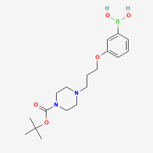 Chemical structure of (3-(3-(4-(tert-Butoxycarbonyl)piperazin-1-yl)propoxy)phenyl)boronic acid