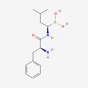 Chemical structure of (3-(2-(4-Ethylpiperazin-1-yl)ethoxy)phenyl)boronic acid