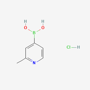 Chemical structure of (2-Methylpyridin-4-yl)boronic acid hydrochloride
