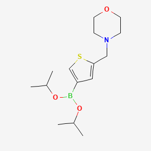 Chemical structure of (2-Methyl-5-pyrrolidino-d11)-thiophene-3-boronic acid pinacol ester