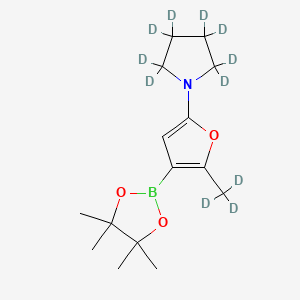 Chemical structure of (2-Methyl-5-pyrrolidino-d11)-furan-3-boronic acid pinacol ester