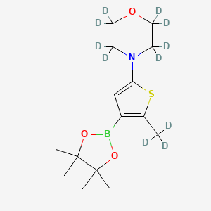 Chemical structure of (2-Methyl-5-morpholino-d11)-thiophene-3-boronic acid pinacol ester