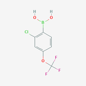 Chemical structure of (2-Chloro-4-(trifluoromethoxy)phenyl)boronic acid