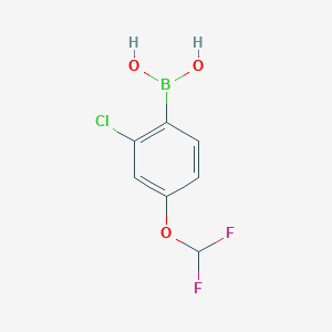 Chemical structure of (2-Chloro-4-(difluoromethoxy)phenyl)boronic acid