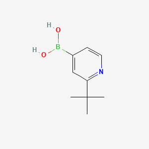 Chemical structure of (2-(tert-butyl)pyridin-4-yl)boronic acid