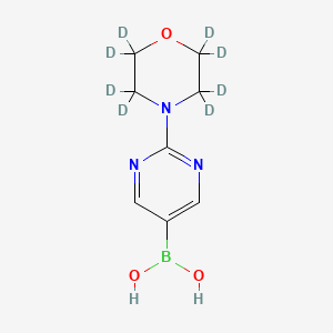 Chemical structure of 2-(Morpholino-d8)-pyrimidine-5-boronic acid