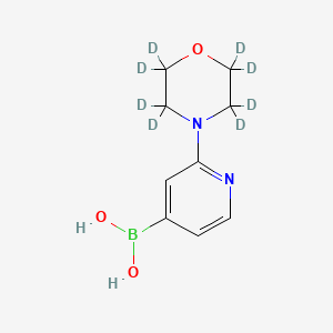 Chemical structure of 2-(Morpholino-d8)-pyridine-4-boronic acid