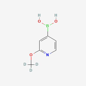 Chemical structure of 2-(Methoxy-d3)-pyridine-4-boronic acid