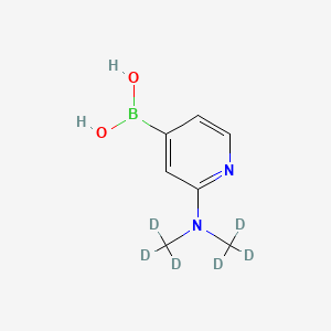 Chemical structure of 2-(Dimethylamino-d6)-pyridine-4-boronic acid