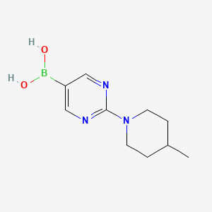 Chemical structure of (2-(4-Methylpiperidin-1-yl)pyrimidin-5-yl)boronic acid