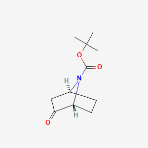 Chemical structure of (1R,4S)-7-Boc-2-oxo-7-azabicyclo[2.2.1]heptane