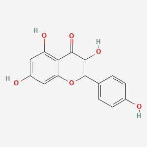 Chemical structure of Kaempferol