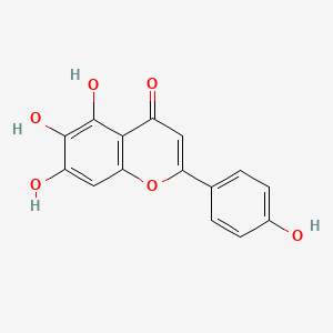 Chemical structure of Scutellarein