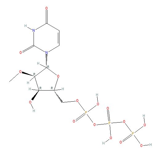 Chemical structure of 2'-O-Methyluridine-5'-Triphosphate