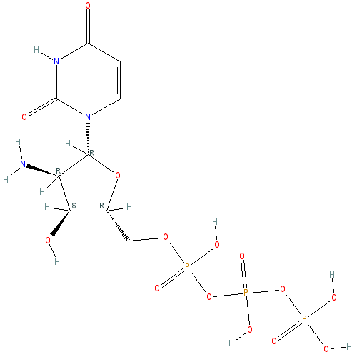 Chemical structure of 2'-Amino-2'-deoxyuridine-5'-Triphosphate