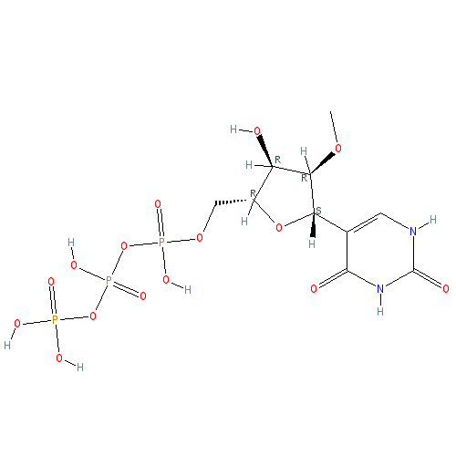 Chemical structure of 2'-O-Methylpseudouridine-5'-Triphosphate
