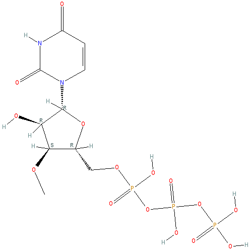 Chemical structure of 3'-O-Methyluridine-5'-Triphosphate