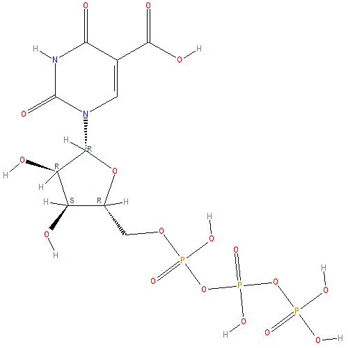 Chemical structure of 5-Carboxyuridine-5'-Triphosphate