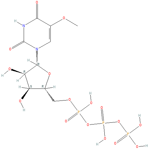 Chemical structure of 5-Methoxyuridine-5'-Triphosphate