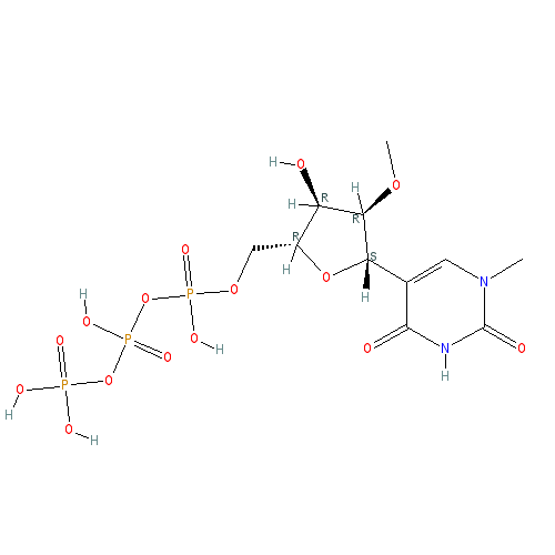 Chemical structure of N1-Methyl-2'-O-Methylpseudouridine-5'-Triphosphate