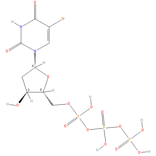 Chemical structure of 5-Bromo-2'-deoxyuridine-5'-Triphosphate