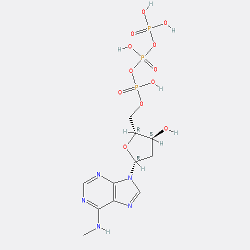Chemical structure of N6-Methyl-2'-deoxyadenosine-5'-Triphosphate