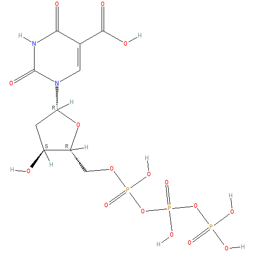 Chemical structure of 5-Carboxy-2'-deoxyuridine-5'-Triphosphate