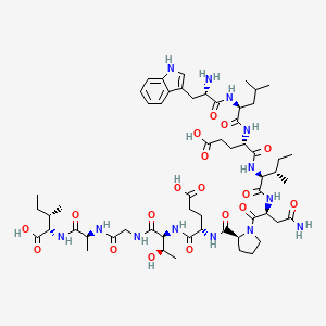 tumor protein p53 binding protein fragment [Homo sapiens]/[Mus musculus]