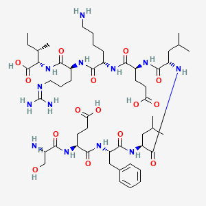 Large T antigen - rhesus polyomavirus 560-568