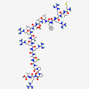 Cyclin dependent kinase inhibitor 2A - Tumor Suppressor