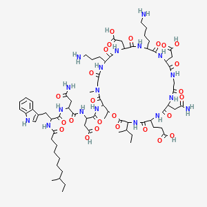 MHC class II antigen (45-57) [Homo sapiens]
